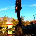 Senan Soltanov