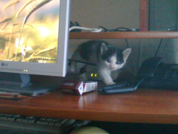 V Telnike Владимир