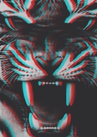 Дарья Нероба