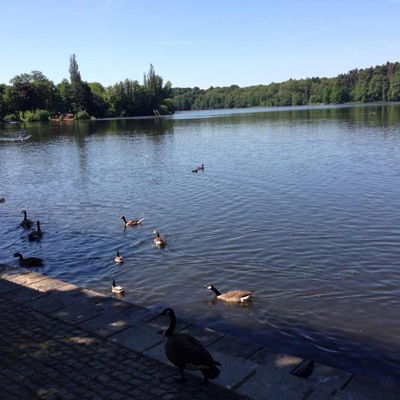 Асет Гадаева