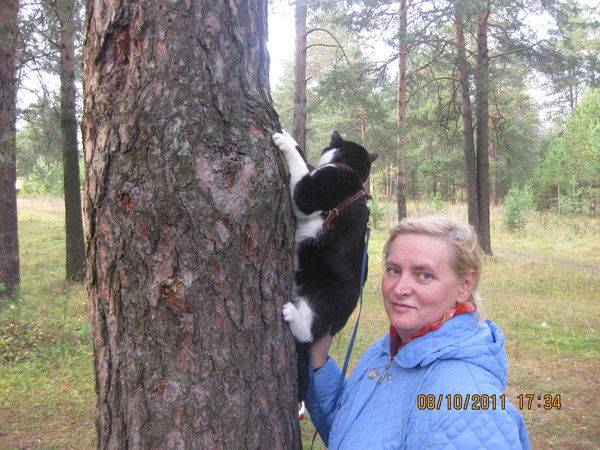 Лили Анфалова