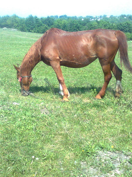 Валентина Голдычева