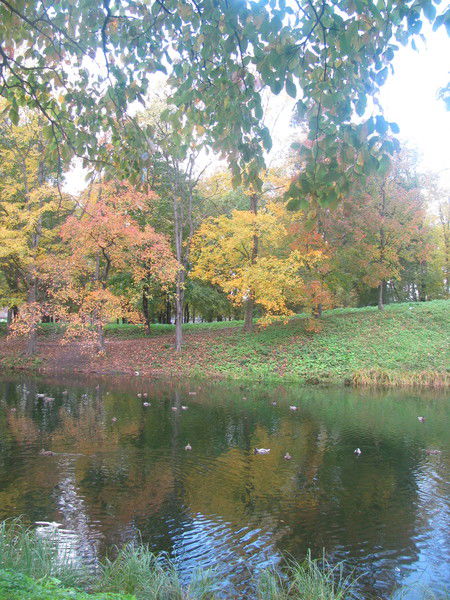 Надежда Федулова