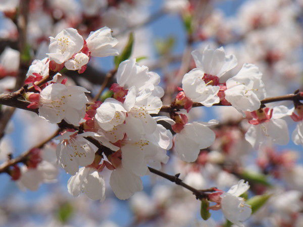 Татьяна Трофимова