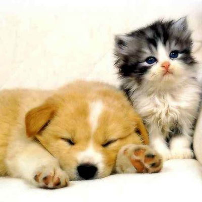 Эвелина Сунгатуллина