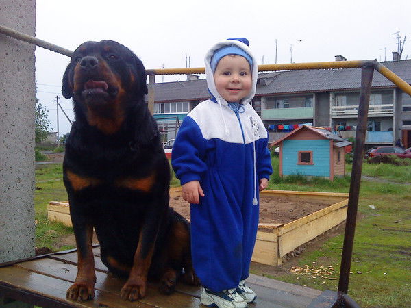 Вячеслав Григоров