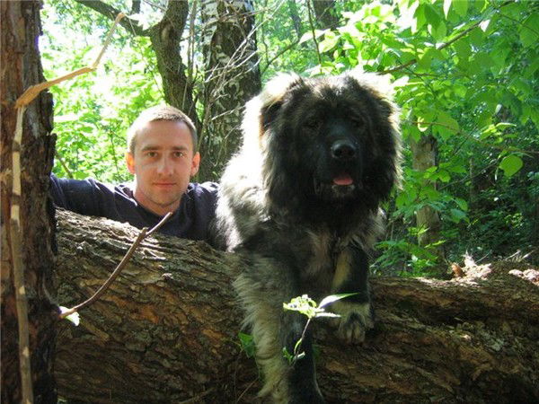 Земцов Александр