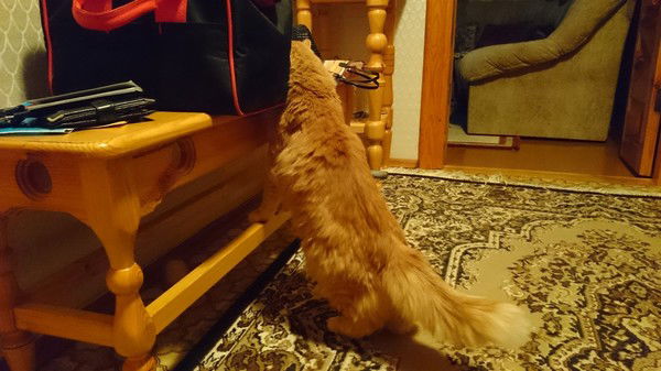 Город Дорог