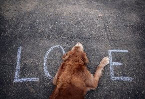 Вячеслав Кочетов