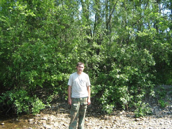 Павел Зырянов