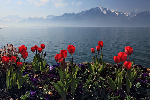 Ляйла Мырзабекова