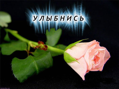 Светлана Керимова