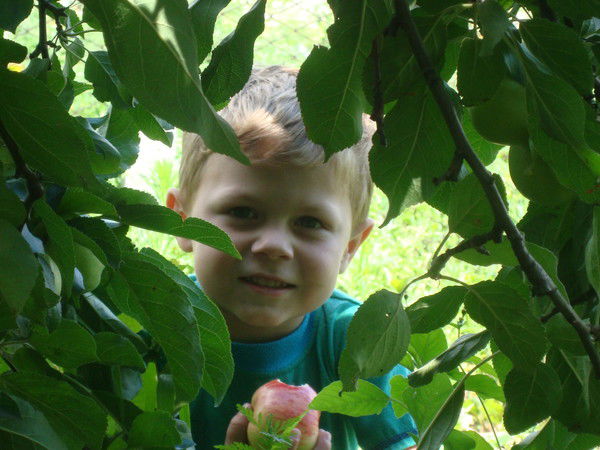 Алексей Захаров