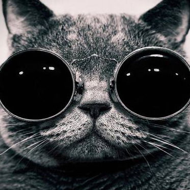 Андрей Бежанов