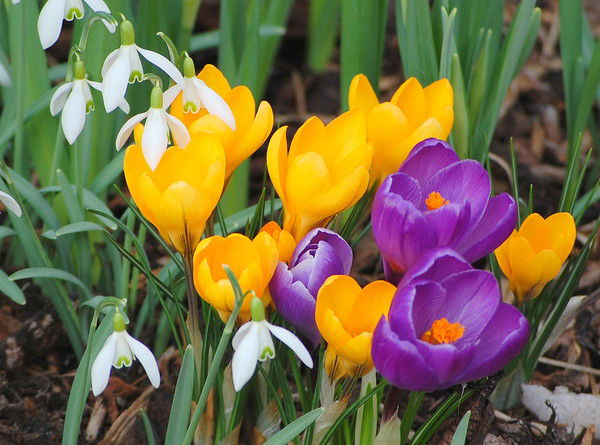 Диляра Хазиева