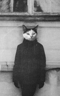 Екатерина Алексеева