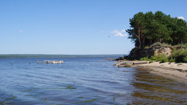 Лариса Вольскова
