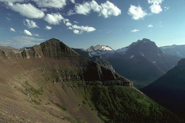 Наталья Коршунова