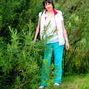 Елена Цукилова