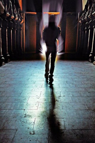 Игорь Завгороднев