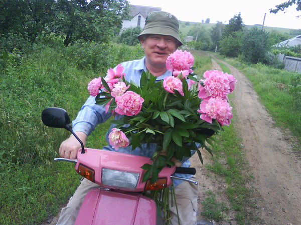 Иван Сотский