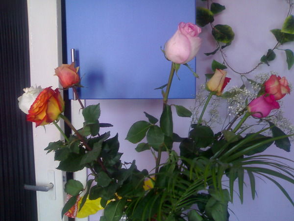 Ира Шимконите