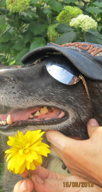 Светлана Перминова