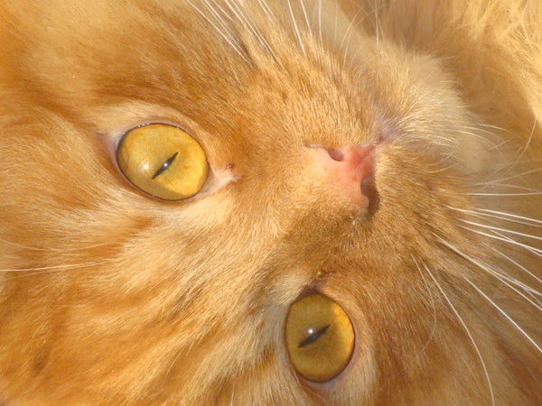 Татьяна Татьяна