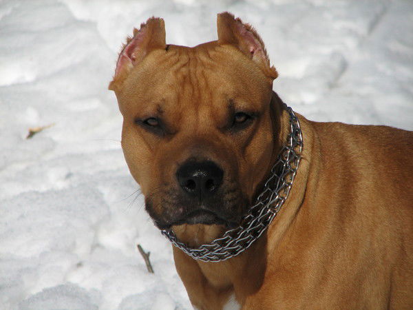 Сергей Мирошин