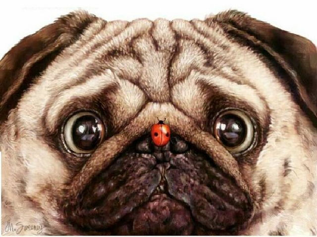 Наташа Блохина