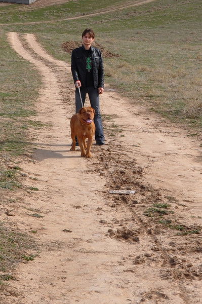 Александр Васильченко
