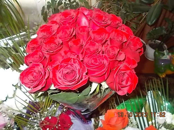 Елена Букреева