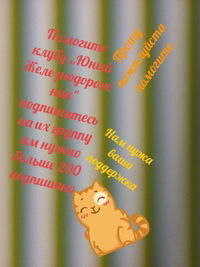 Полина Пелих