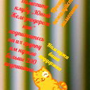 Полина Пелих