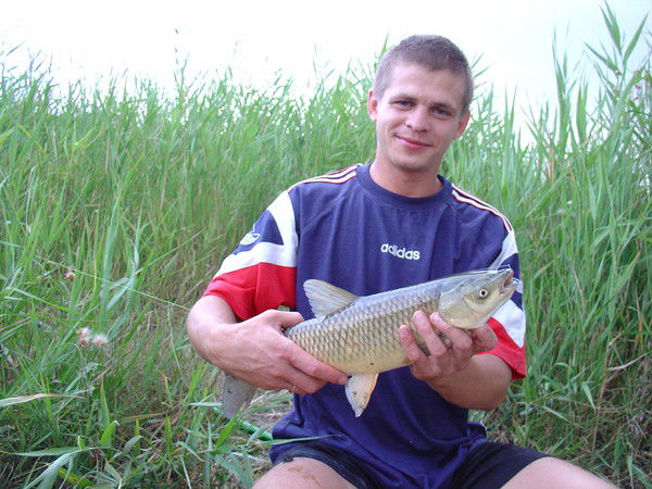 Артем Мусинов