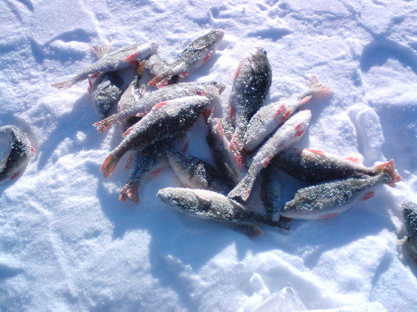 Юрий Смирнов