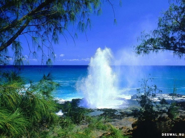 Тоо Филиал Вэлта Плюс