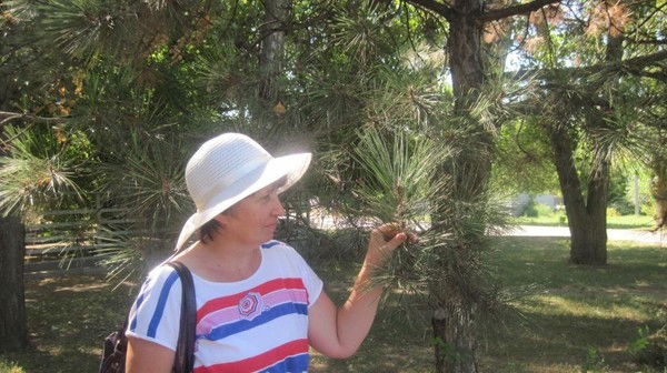 Клавдия Иканович