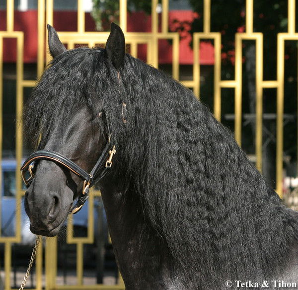 Улан Токаев