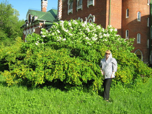 Елена Бабровская