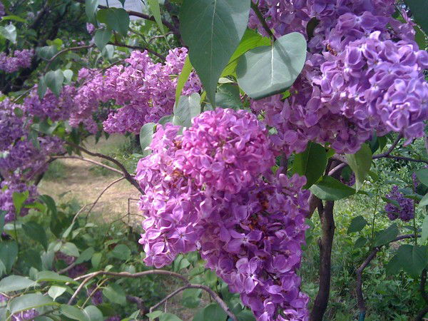 Павла Игоревна