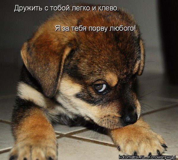 Сандугаш Узенбаева