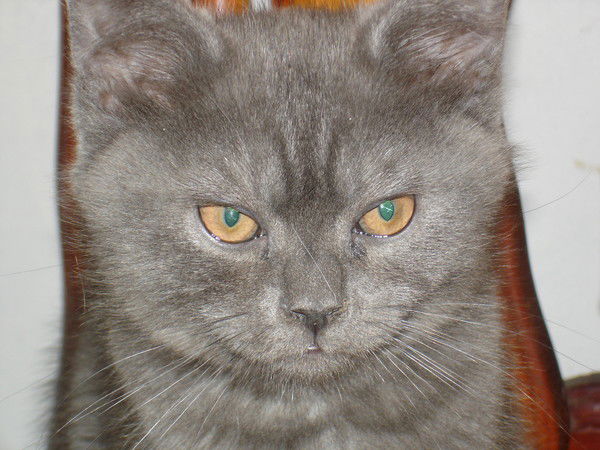 Марина Терешонок