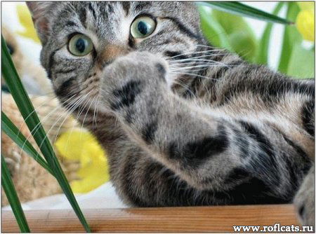 Игорь Дёмин