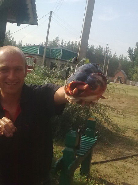 Виталий Шевченко