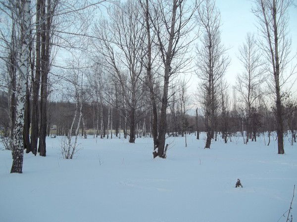 Александр Фирсов