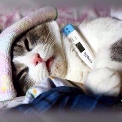 Кристина Тимофеева