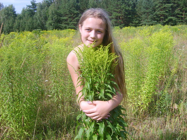 Алла Нехведович