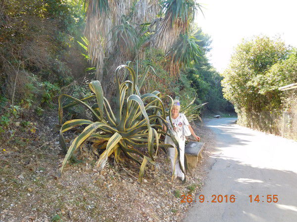 Наталия Полякова