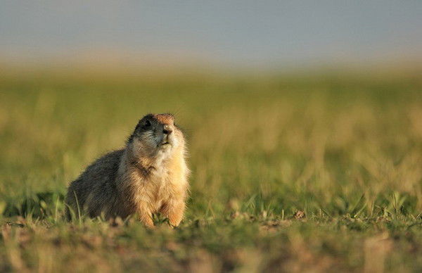 Beriliy2009 Beriliy2009